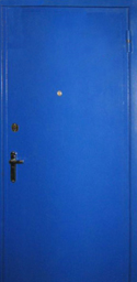Двери металлические  с полимерной покраской  (синие)